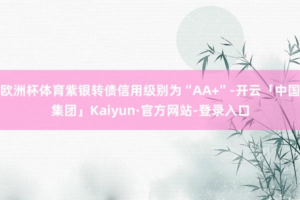 欧洲杯体育紫银转债信用级别为“AA+”-开云「中国集团」Kaiyun·官方网站-登录入口