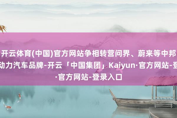 开云体育(中国)官方网站争相转营问界、蔚来等中邦原土新动力汽车品牌-开云「中国集团」Kaiyun·官方网站-登录入口