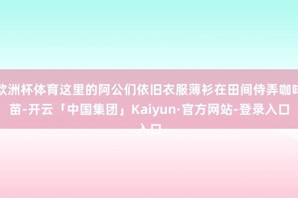 欧洲杯体育这里的阿公们依旧衣服薄衫在田间侍弄咖啡苗-开云「中国集团」Kaiyun·官方网站-登录入口